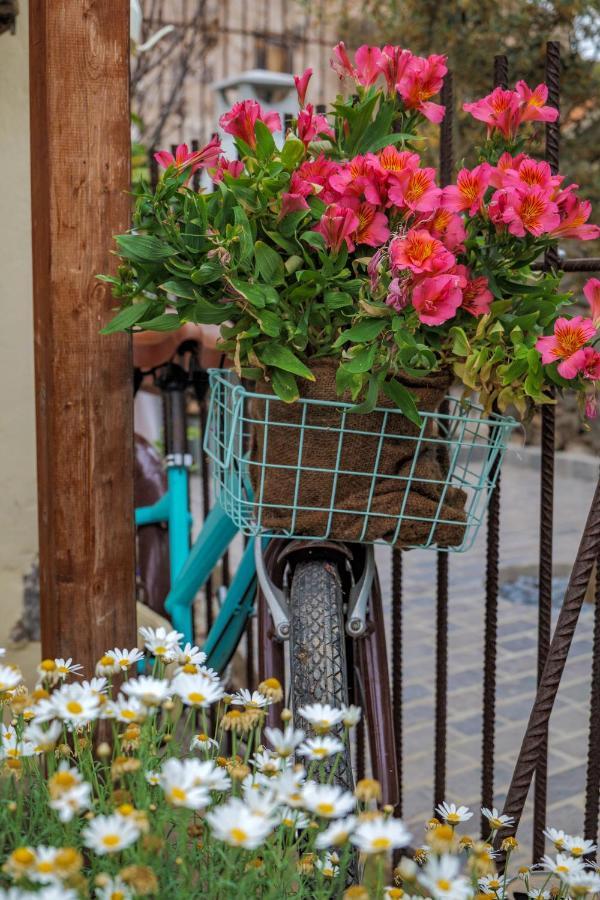 Casa Leandra Con Jacuzzi Guest House Адехе Екстериор снимка
